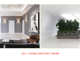 Modern Villa Ms Nhung